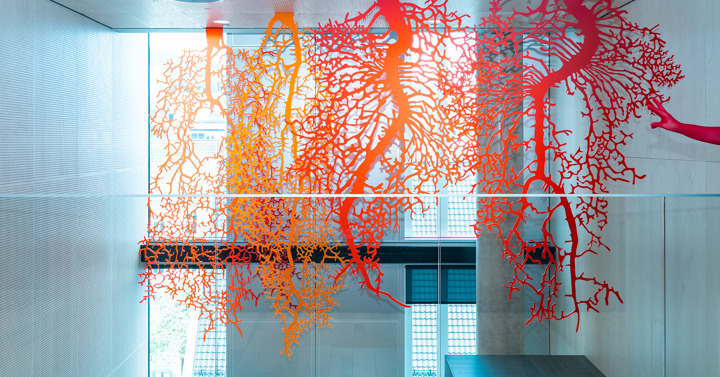 Røtter i plexiglass - et flott kunstprosjekt til Vestlandshus, Vestland Fylkeskommune