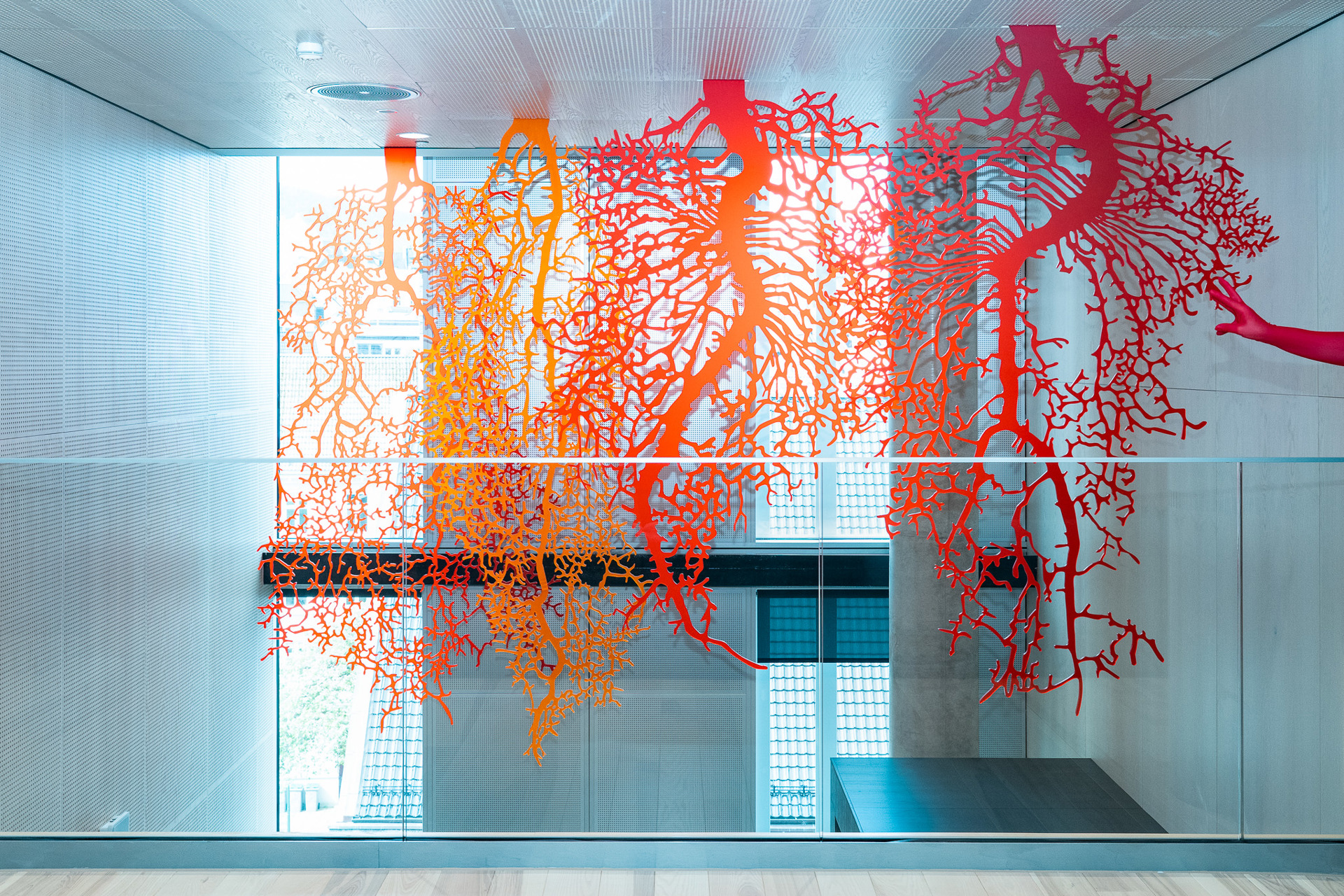 Røtter laget av plexiglass hengende fra taket i Vestlandshus. Røttene er oransje og røde.